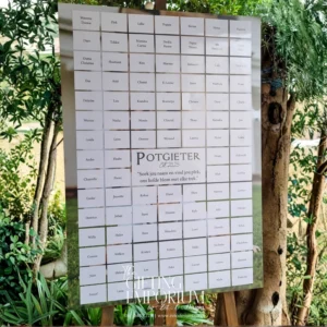 Wedding seating chart board with name reveal design
